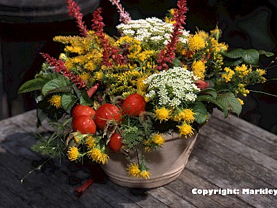 Garten Tagestipp 18 August: Vasenlebens von Schnittblumen verlängern
