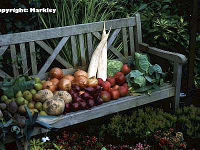 Garten Tagestipp 4 September: Gemüse einlagern
