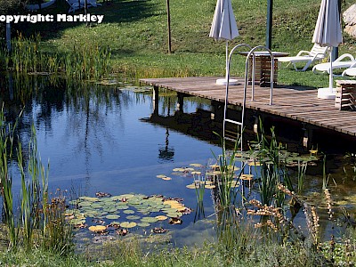 Garten Tagestipp 24 Oktober: Wichtige Teicharbeiten im Herbst