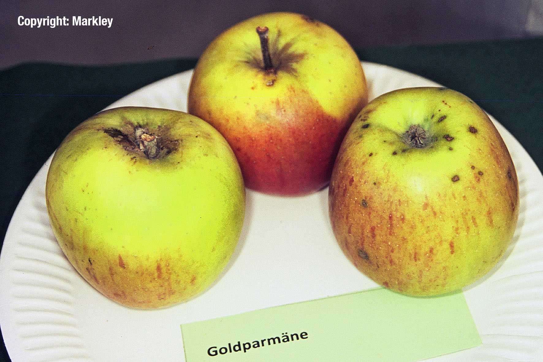 Apfel 'Goldparmäne'